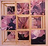 Flower Cube, 1990